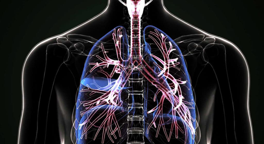Ακόμα μεγαλύτερους κινδύνους από την κλιματική αλλαγή, αντιμετωπίζουν τα άτομα με άσθμα, χρόνια αποφρακτική πνευμονοπάθεια και άλλες παθήσεις των πνευμόνων, σύμφωνα με επιστημονική έκθεση που δημοσιεύεται στο περιοδικό «European Respiratory Journal».