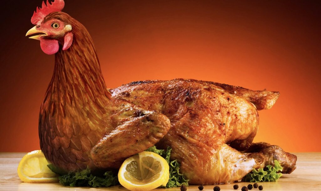 Συναγερμός έχει σημάνει σε πολλές χώρες της Ευρώπης από τον εντοπισμό δεκάδων κρουσμάτων σαλμονέλας σε κεμπάπ από μολυσμένο κρέας κοτόπουλου.