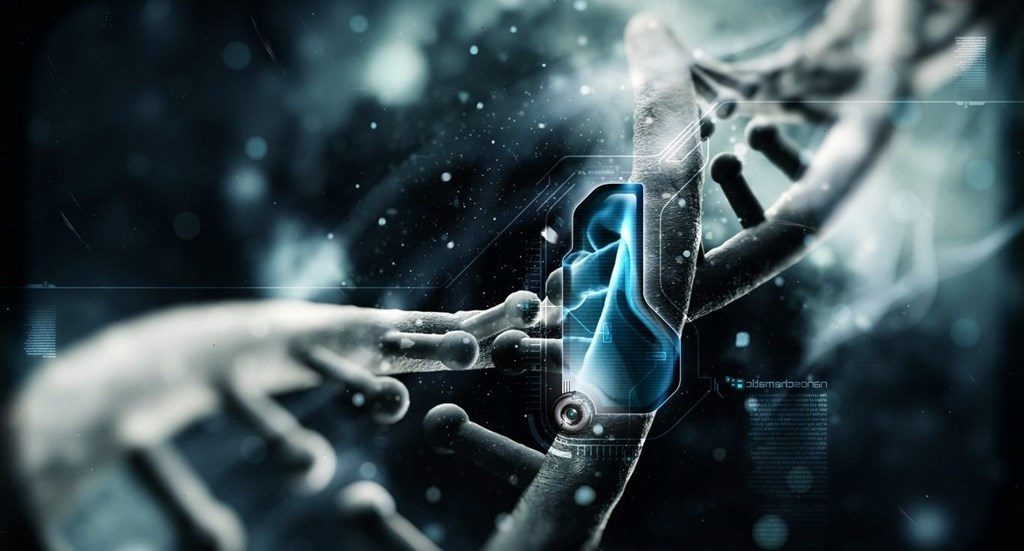 Έναν νέο δρόμο για την εξέλιξη του ανθρώπινου είδους ανακάλυψαν βιολόγοι, καθώς βρήκαν πώς το μιτοχονδριακό DNA «τρυπώνει» στο ανθρώπινο γονιδίωμα και το αλλάζει.