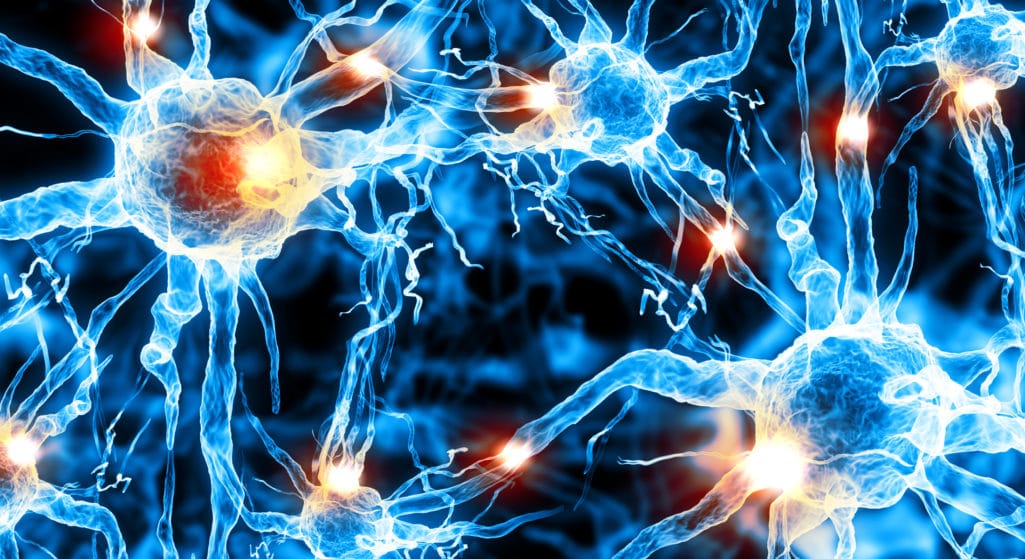 Τα νανοπλαστικά επηρεάζουν μια συγκεκριμένη πρωτεΐνη που βρίσκεται στον εγκέφαλο, προκαλώντας αλλαγές που συνδέονται με τη νόσο του Πάρκινσον και άλλους τύπους άνοιας, σύμφωνα με μελέτη ερευνητών του Πανεπιστημίου του Ντιουκ στις ΗΠΑ.