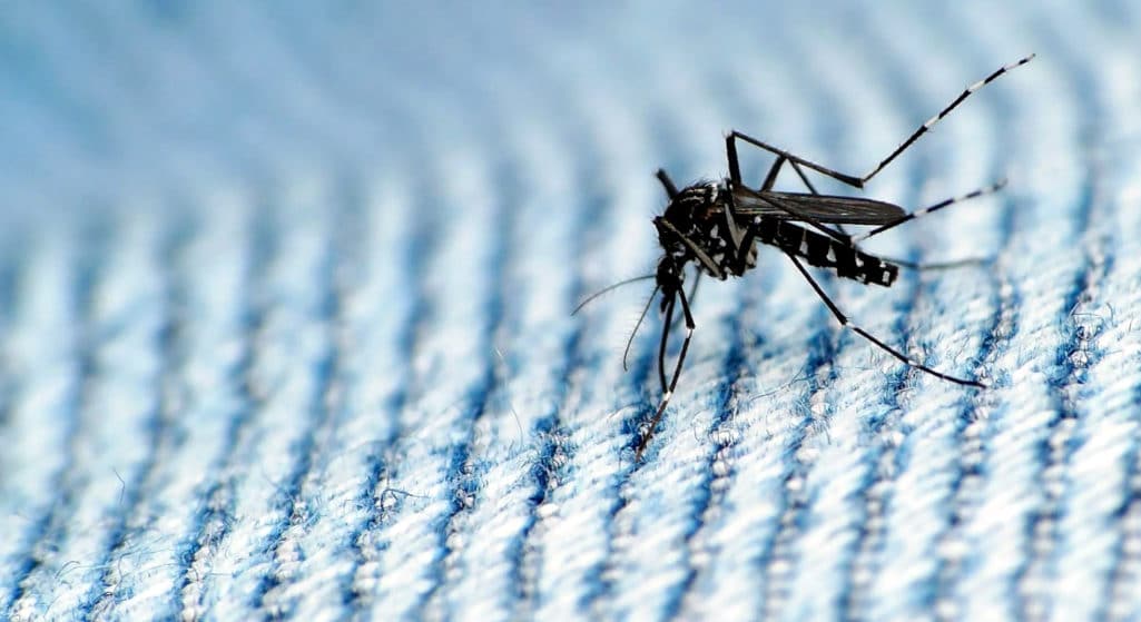 Ακόμα ένας θάνατος καταγράφηκε από τον ιό του Δυτικού Νείλου, φτάνοντας συνολικά στους 32 θανάτους από τσίμπημα κουνουπιού, σύμφωνα με τον ΕΟΔ