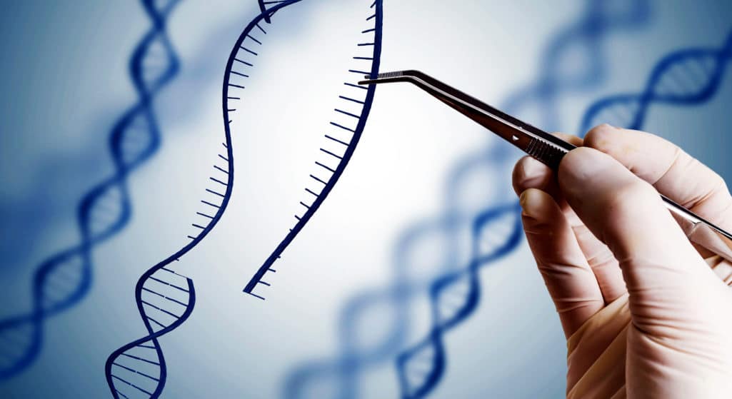 Περίπου 155 νέα γονίδια έχουν εντοπιστεί, τα οποία ξεπήδησαν αυθόρμητα (de novo) από μικροσκοπικά τμήματα στο ανθρώπινο DNA, σύμφωνα με μία νέα μελέτη με επικεφαλής έναν Έλληνα ερευνητή.