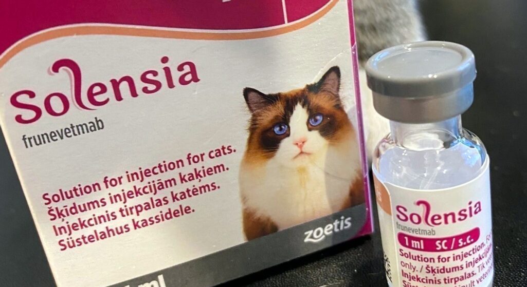 Τη χορήγηση μία φορά τον μήνα του εμβολίου της φαρμακοβιομηχανίας Zoetis για τη θεραπεία του πόνου σε γάτες με οστεοαρθρίτιδα ενέκρινε ο FDA.