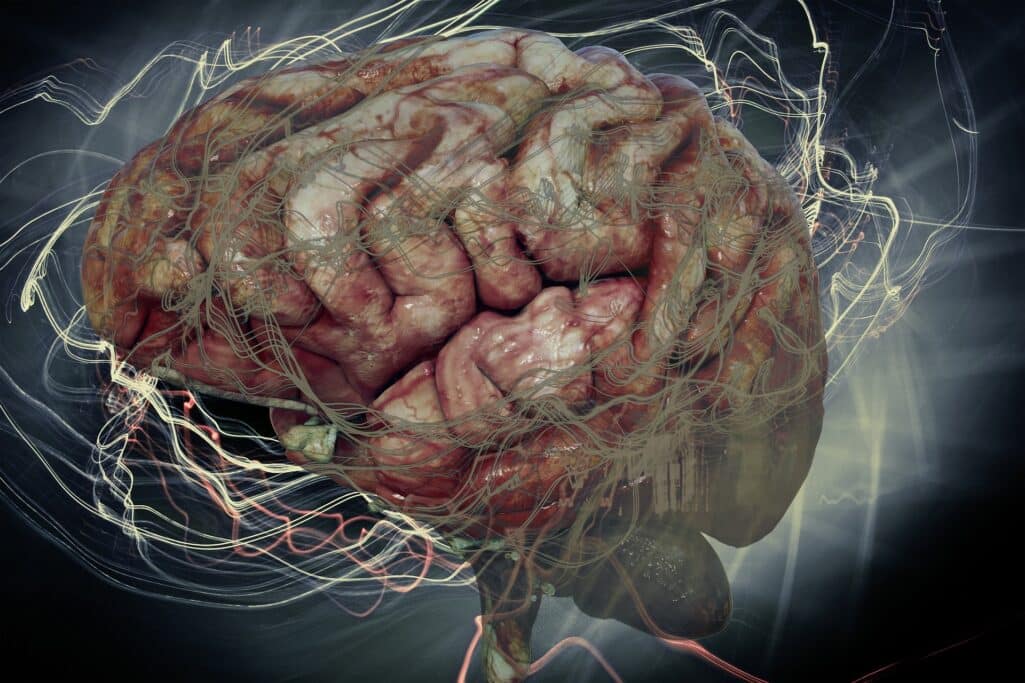 «Μίνι εγκέφαλοι εργαστηρίου» έριξαν φως στη λειτουργία ενός γονιδίου που συνδέεται με νευροεκφυλιστικές νόσους όπως η άνοια, η νόσος του κινητικού νευρώνα αλλά και η Πάρκινσον.