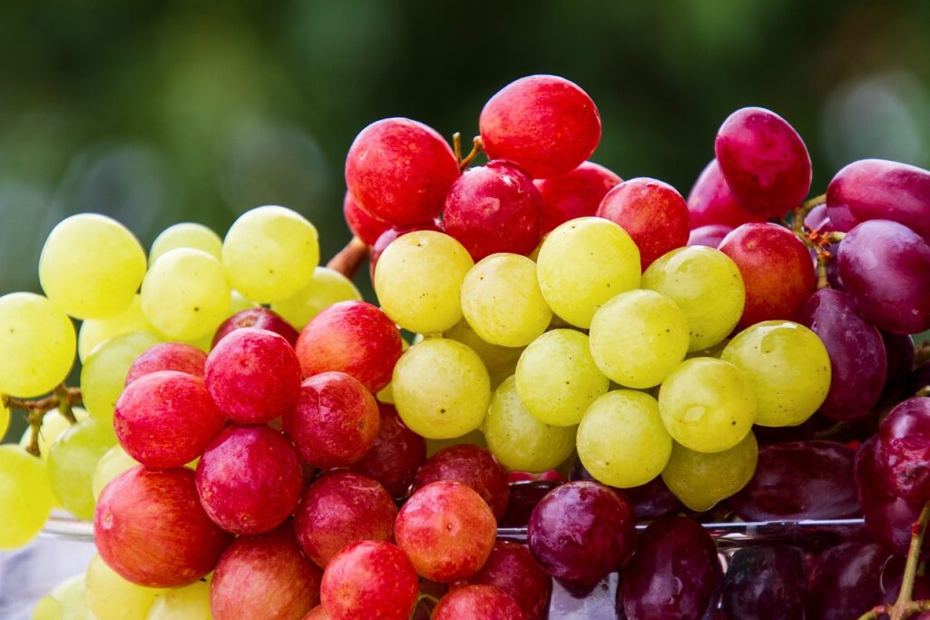 Μελέτη αποκαλύπτει ποιο φρούτο πρέπει να βάλετε στη διατροφή σας για να έχετε πιο υγιή μάτια και καλύτερη όραση.